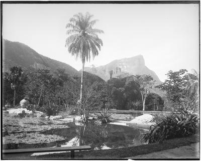 Jardim Botânico