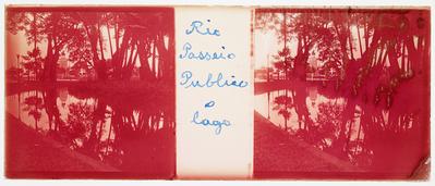 Lago do Passeio Público