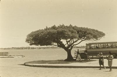 Parada de ônibus na região do nordeste brasileiro
