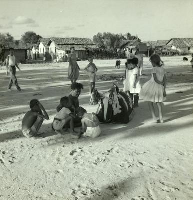 Bumba Meu Boi, festa popular