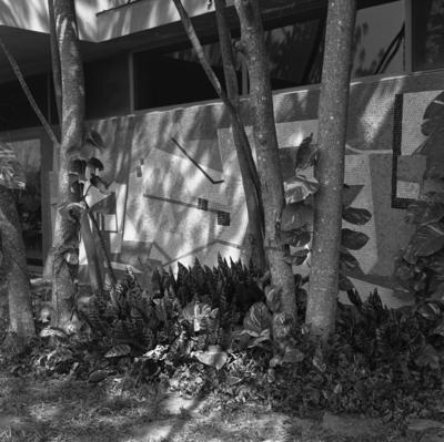 Residência de Olivo Gomes, projeto dos arquitetos Rino Levi, Roberto Cerqueira César e Burle Marx