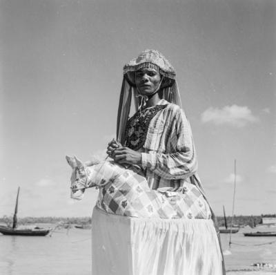 Bumba meu boi, festa popular