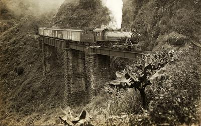 Viaduto do Taquaral - km 61