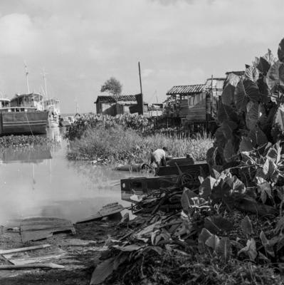 Vila da Barca, barcos