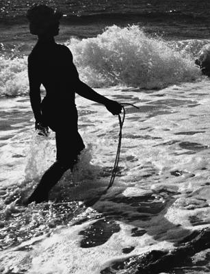 Série Pesca do xaréu