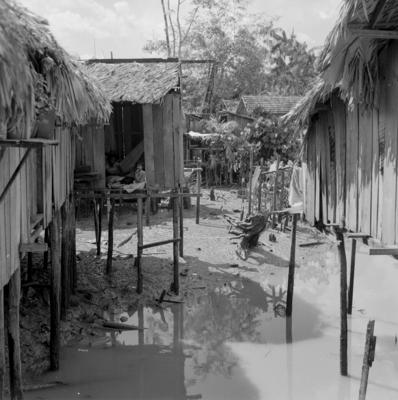 Vila da Barca, palafitas flutuantes