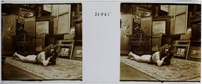 Estereoscopia erótica