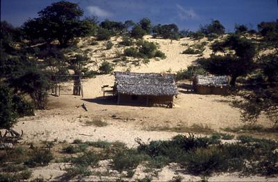 Série Rio São Francisco