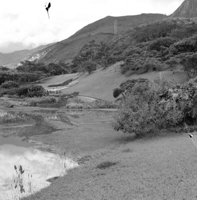 Residência de Odette Monteiro, projeto do arquiteto Wladimir Alves de Souza e Burle Marx