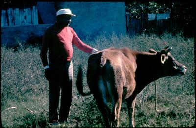 Lupicínio Rodrigues