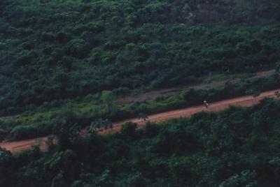 Vista aérea de estrada em meio à floresta
