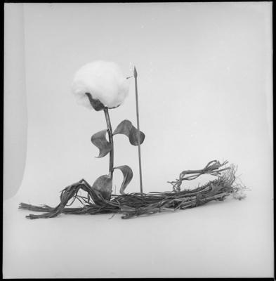 Campanha publicitária da agência J. Walter Thompson para o fungicida Manzate - algodão