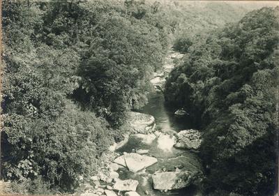 Vista do rio Ipiranga