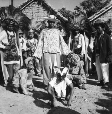 Bumba meu boi, festa popular