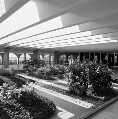 "O Canto da Noite", escultura de Maria Martins, no Salão Nobre