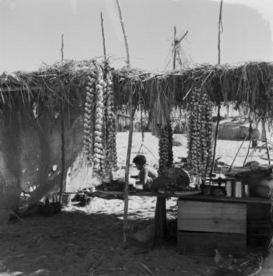 Acampamento de romeiros