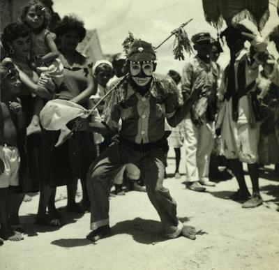 Bumba Meu Boi, festa popular