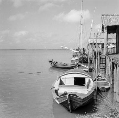 Rio Guamá, palafitas flutuantes