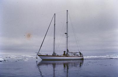 Aventuras de Igor na Antártida