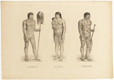 (Mundurucús. Uainumás. Purú-Purús)