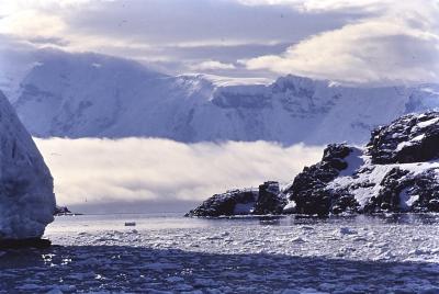 Aventuras de Igor na Antártida