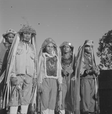 Bumba meu boi, festa popular