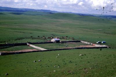 Ruínas em área rural