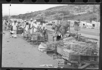 Viagem para Salvador