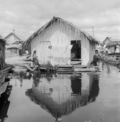 Palafitas flutuantes