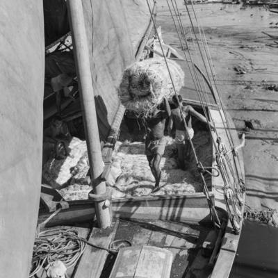 Homens descarregando juta