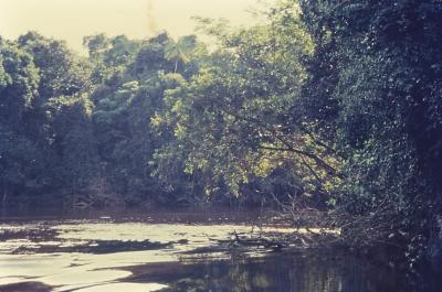 Expedição Pico da Neblina