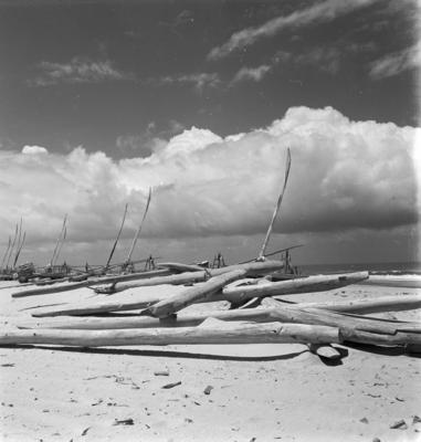 Jangadas e jangadeiros