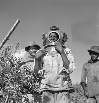 Garimpo de diamantes na Boca do Tauiri