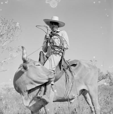 Vaqueiro - Ilha Mexiana