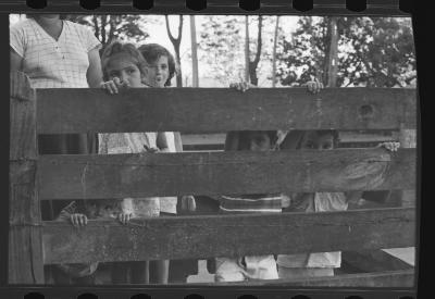 Em busca de fazendas para locacações do filme Os Herdeiros, de Cacá Diegues