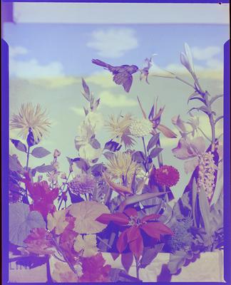 Campanha publicitária da agência Alcântara Machado para Atma Paulista - Dia das Mães