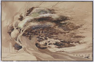 [A velha mangueira da fazenda]