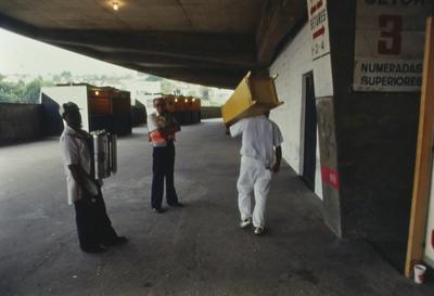Jogo São Paulo x Botafogo