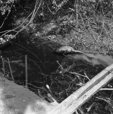 Expedição do SPI que estabeleceu os primeiros contatos com o povo Asuriní do Tocantins