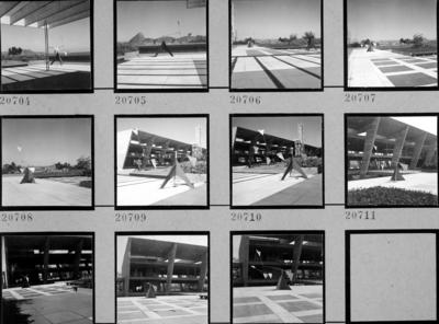 Museu de Arte Moderna - MAM , escultura de Alexander Calder