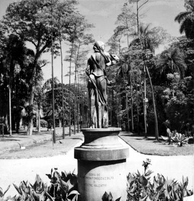 Flora do Jardim Botânico do Rio de Janeiro