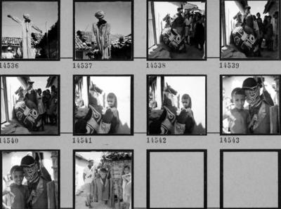 Bumba Meu Boi, festa popular