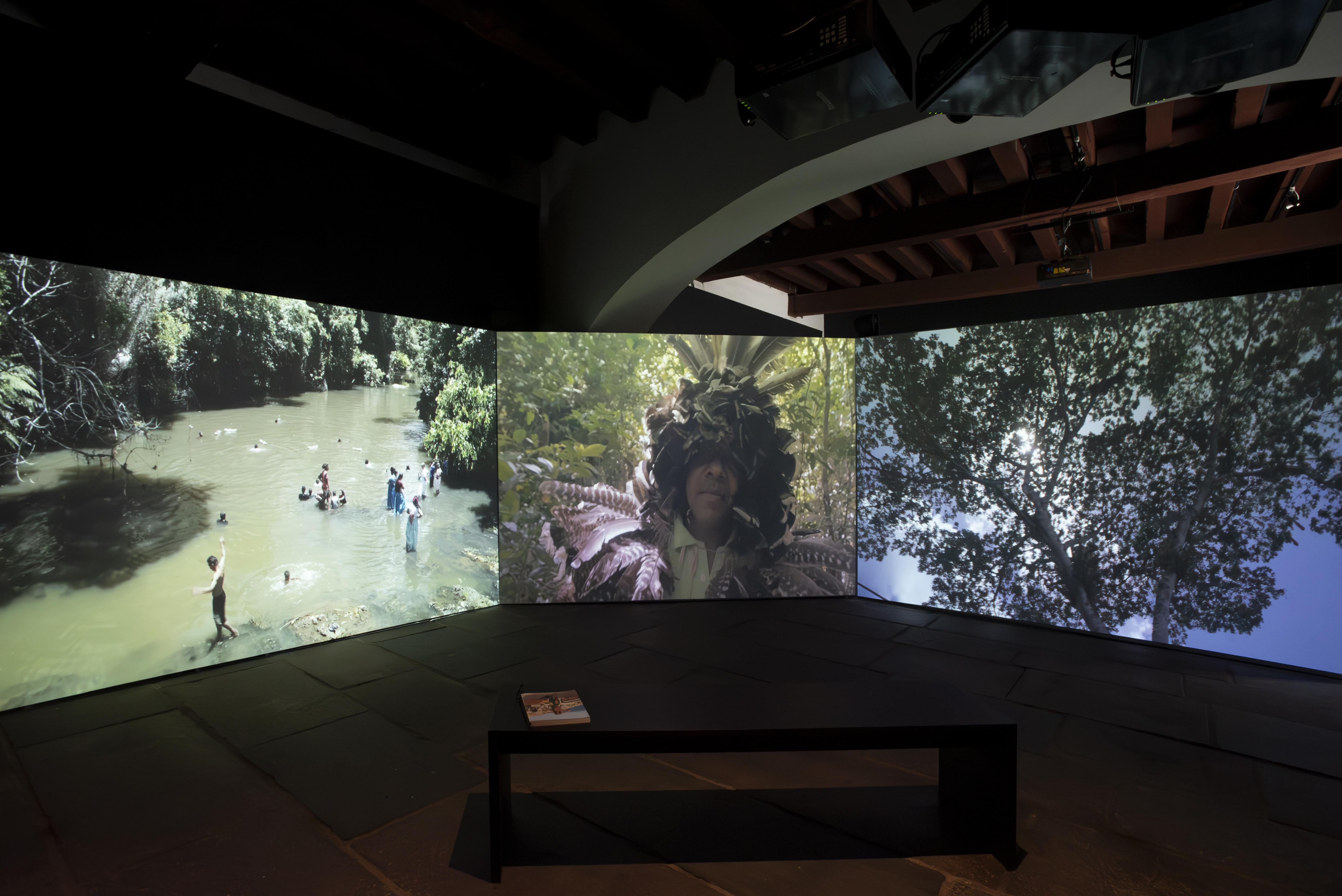 Nós somos pássaros que andam