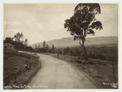 Fazenda da Prefeitura em Guaratiba