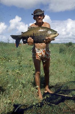 Série Rio São Francisco