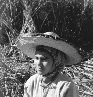 Lavoura canavieira, trabalhadores