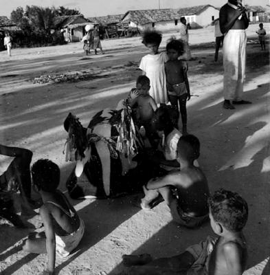 Bumba Meu Boi, festa popular