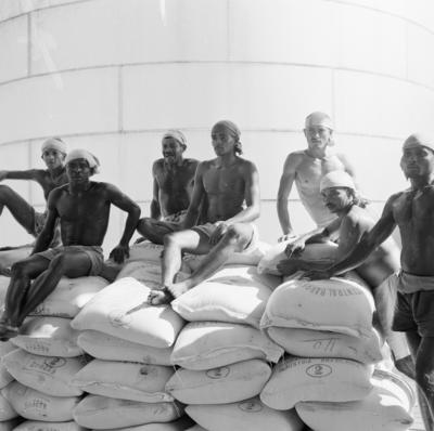 Usina Central Barreiros