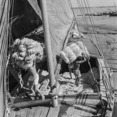 Homens descarregando juta