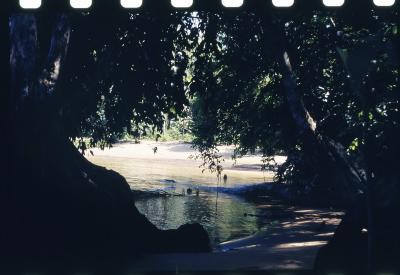 Projeto "Navegar Amazônia"